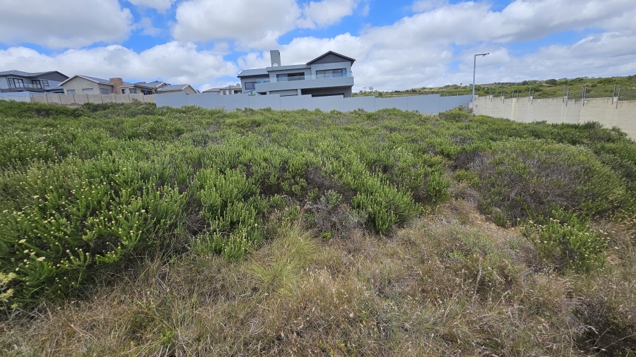 0 Bedroom Property for Sale in Blue Waters Estate Eastern Cape